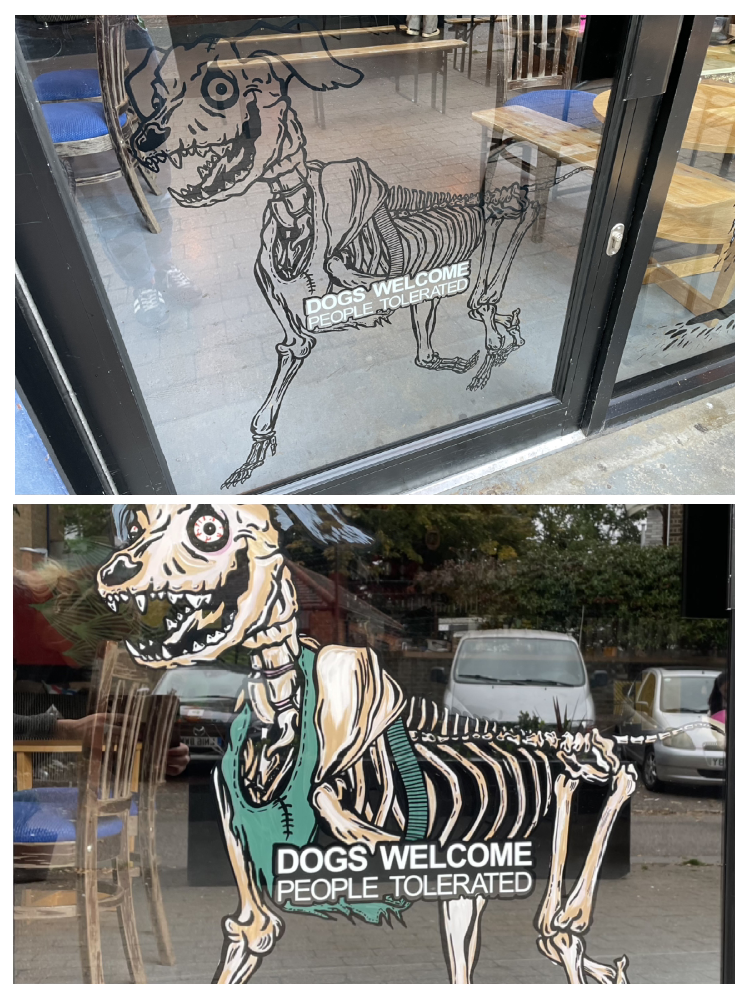 Window Splash Skeleton dog